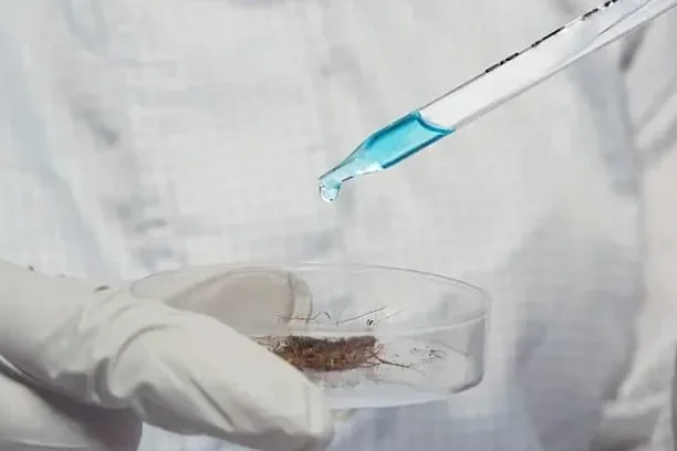 Illustrative image of Undisturbed sampling (Shelby tube) in Gatineau