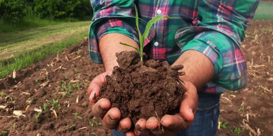 Illustrative image of Residual soil characterization in Gatineau